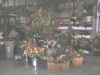 sdstore6small