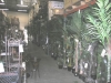 sdstore8small