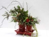 santa_ana_christmas_show_2010_19