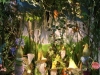 Garden Gnome Endcap