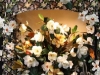 Magnolia Endcap