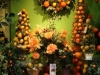 Citrus Endcap