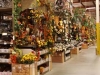 sastorepic6