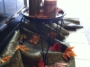 fall2010-028