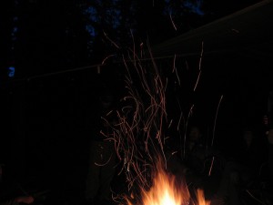 Campfire picture with metallic flakes burning