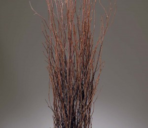 3'-4' Birch Branches Natural