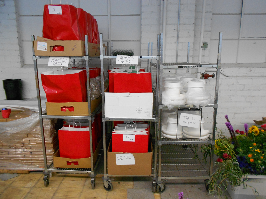 CSFA Surprise Package setup