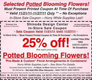 Sale-Coupon-25-off-Selected-Potted-Blooming-Flowers-112111