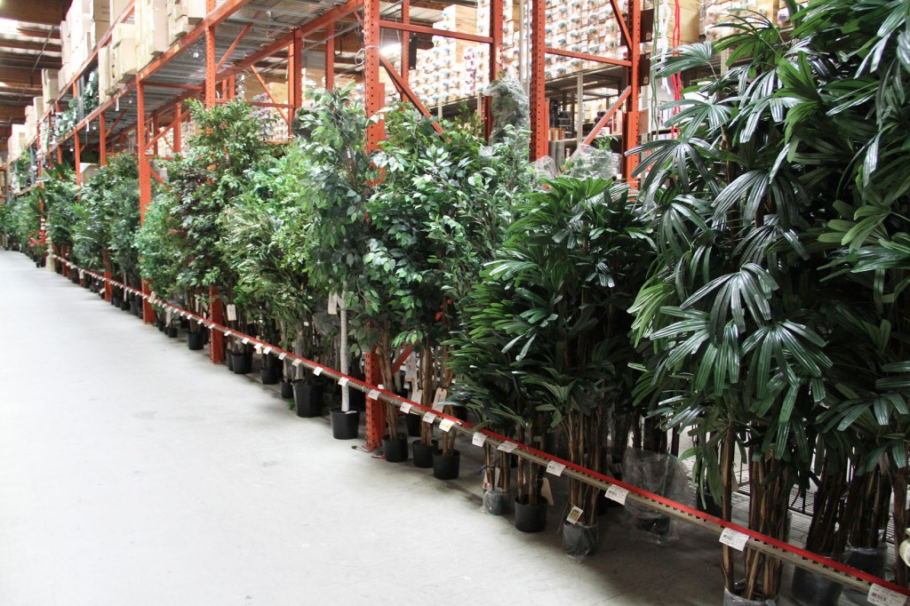 IMG_9472 Picture Of The Day Silk Trees 1100 042114