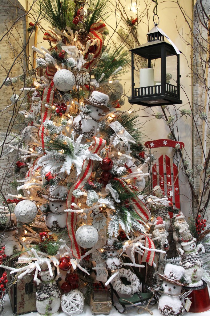 IMG_0237 Picture Of The Day 1100 112014