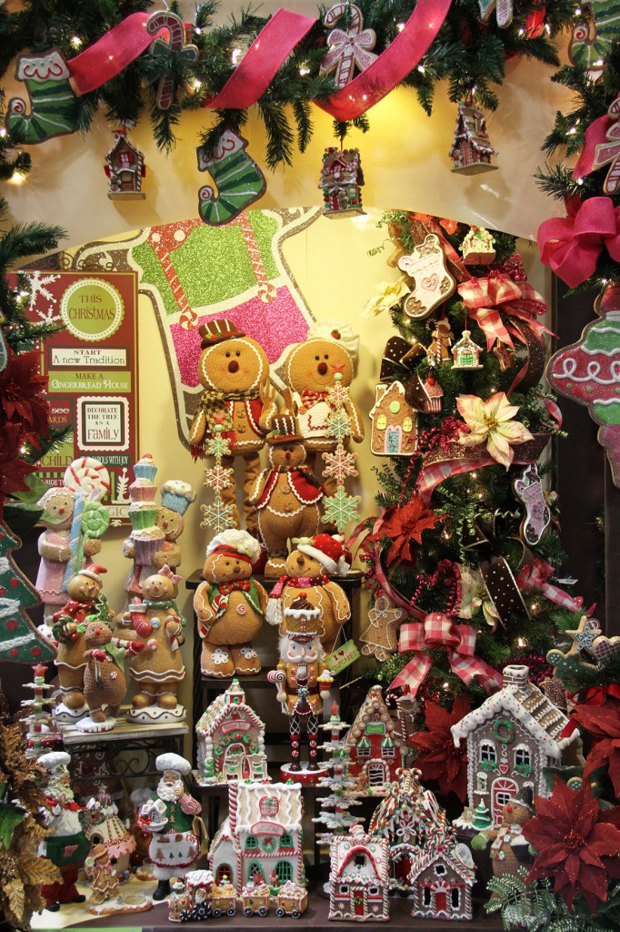 IMG_9943 PIcture Of The Day 1100 112514