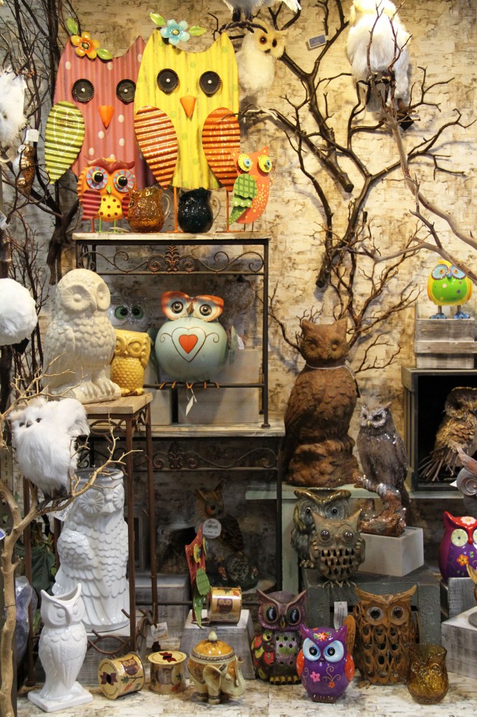 IMG_9993 Picture Of The Day 1100 021615