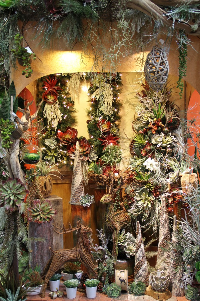 IMG_2635 Picture Of The Day 1100 122815