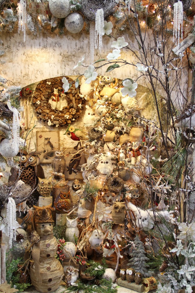 IMG_2547 Picture Of The Day 1100 011116