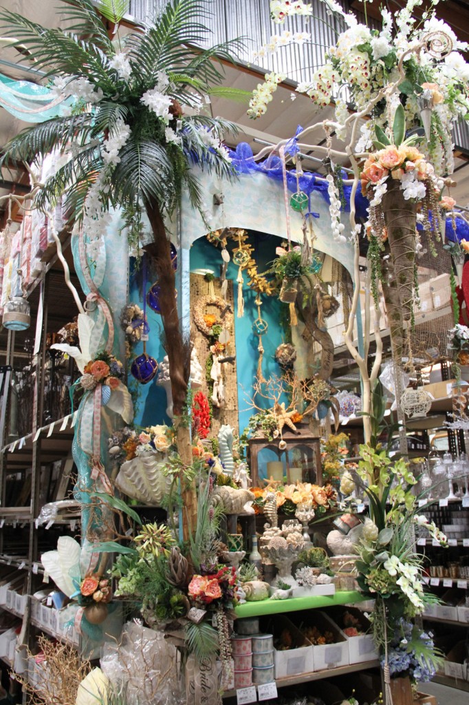 IMG_9174 Picture Of The Day 1100 020416