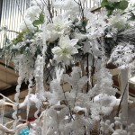 IMG_3361 IMG_3361