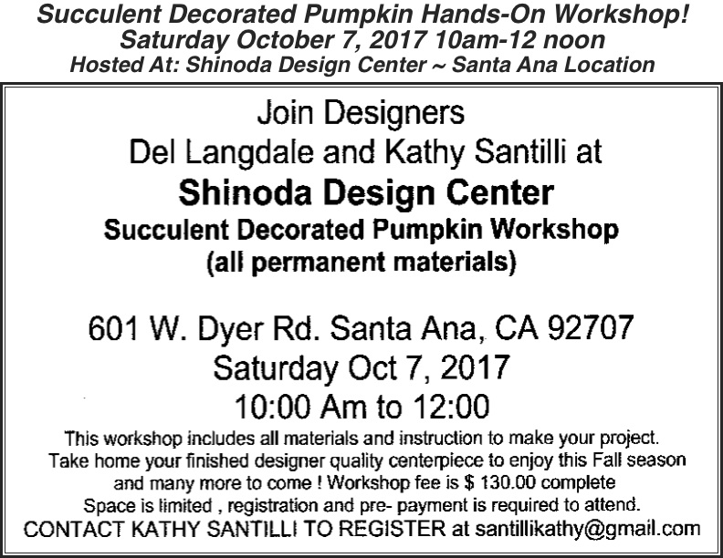 adp succulent decorated pumpkin workshop del langdale 092517
