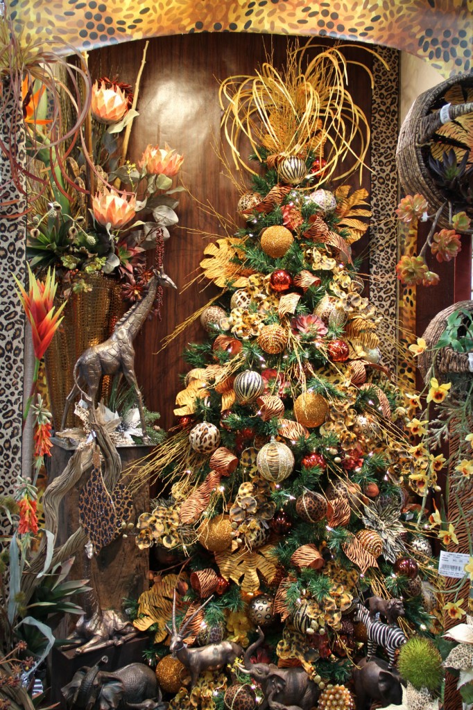 IMG_7958 Picture Of The Day 1100 011118