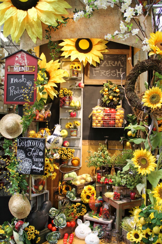 IMG_9732 Picture Of The Day 1100 042618