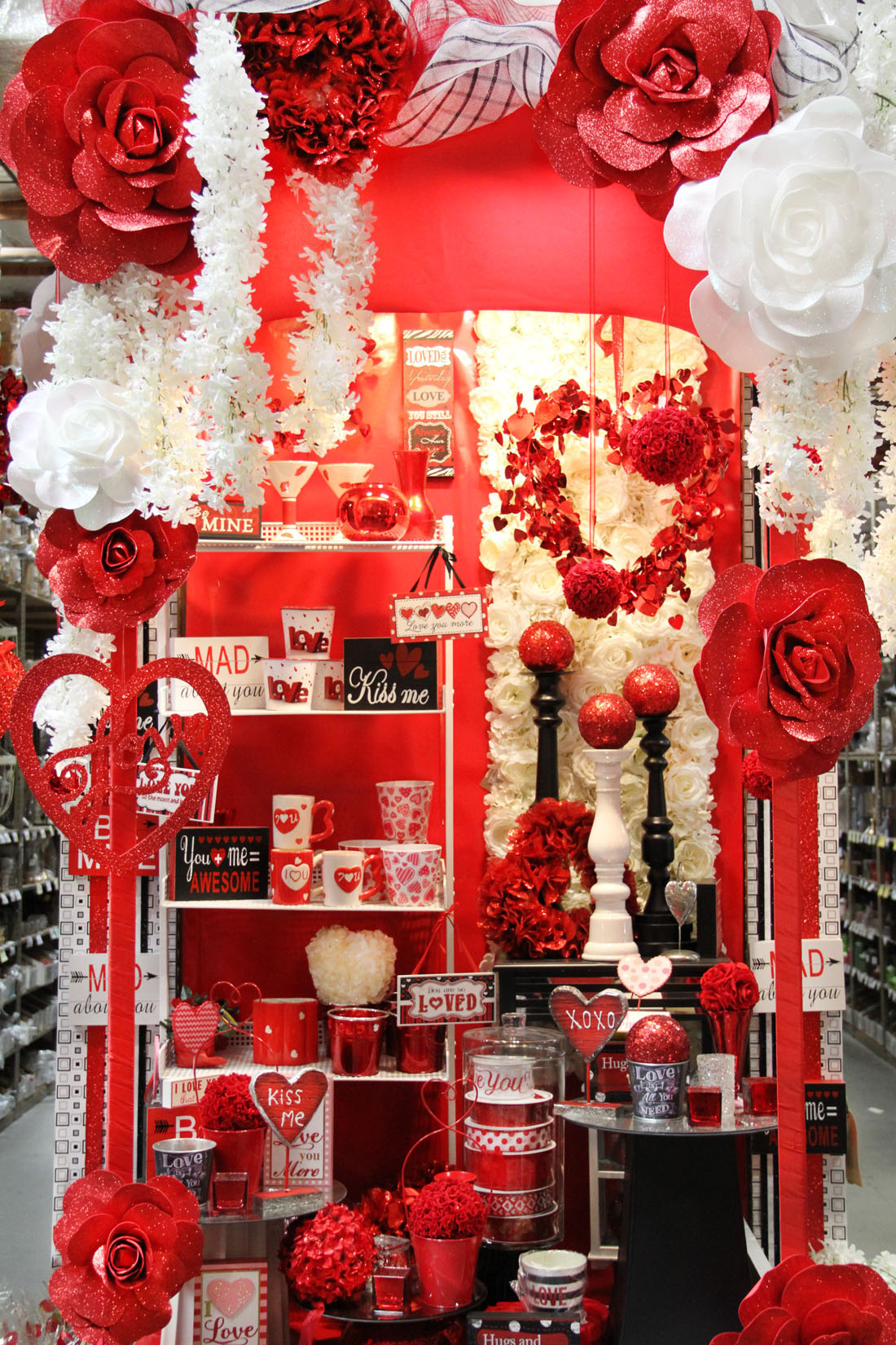 IMG_4062 Picture Of The Day 1100 020719