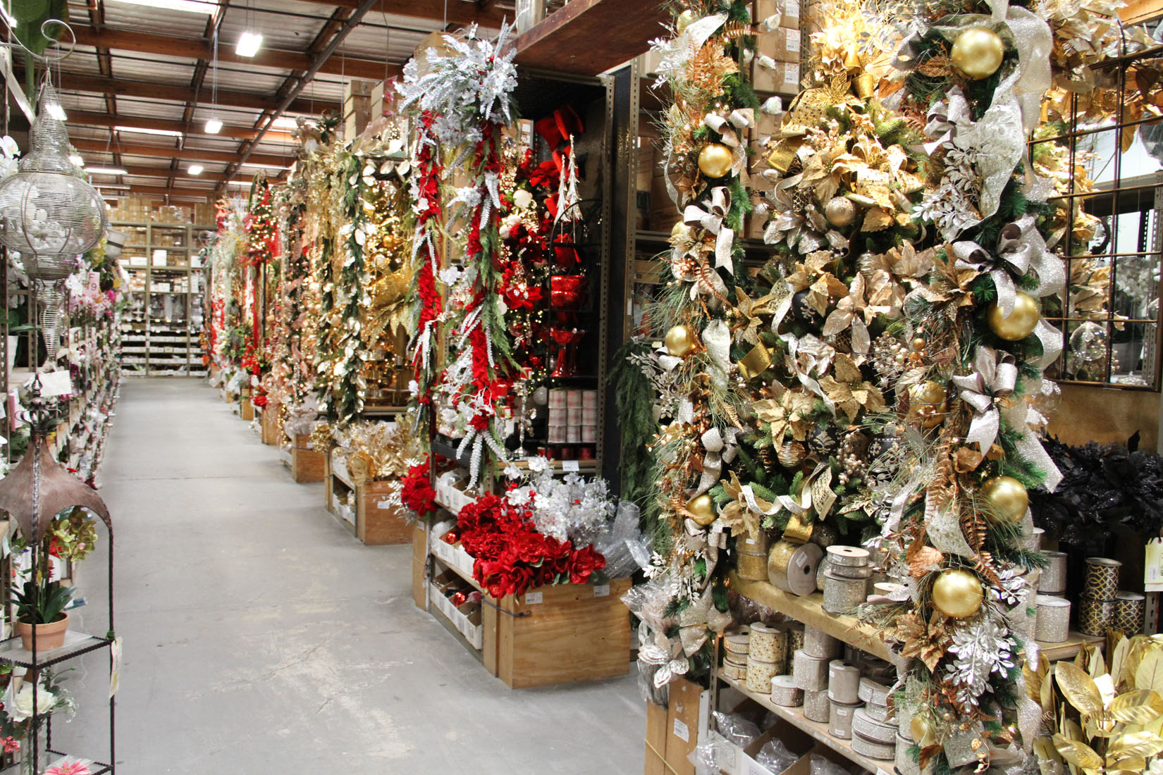 IMG_0069 Picture Of The Day 1100 102119