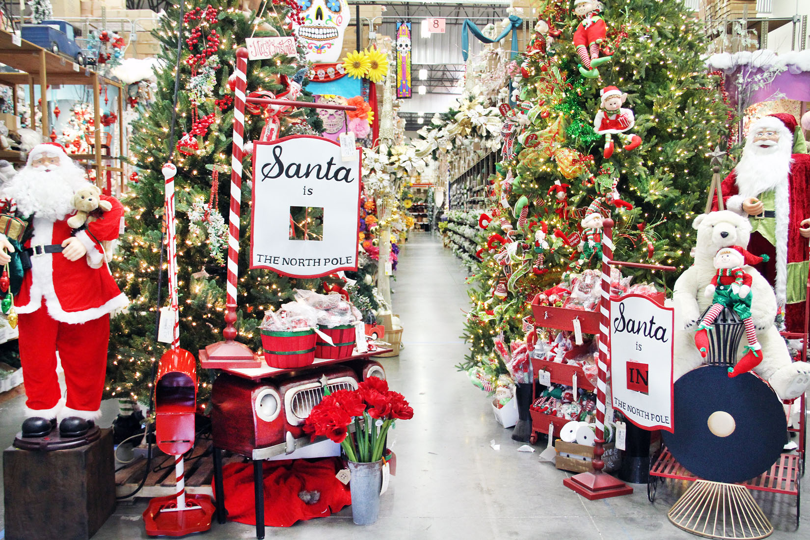 IMG_5891 Picture Of The Day 1100 112419