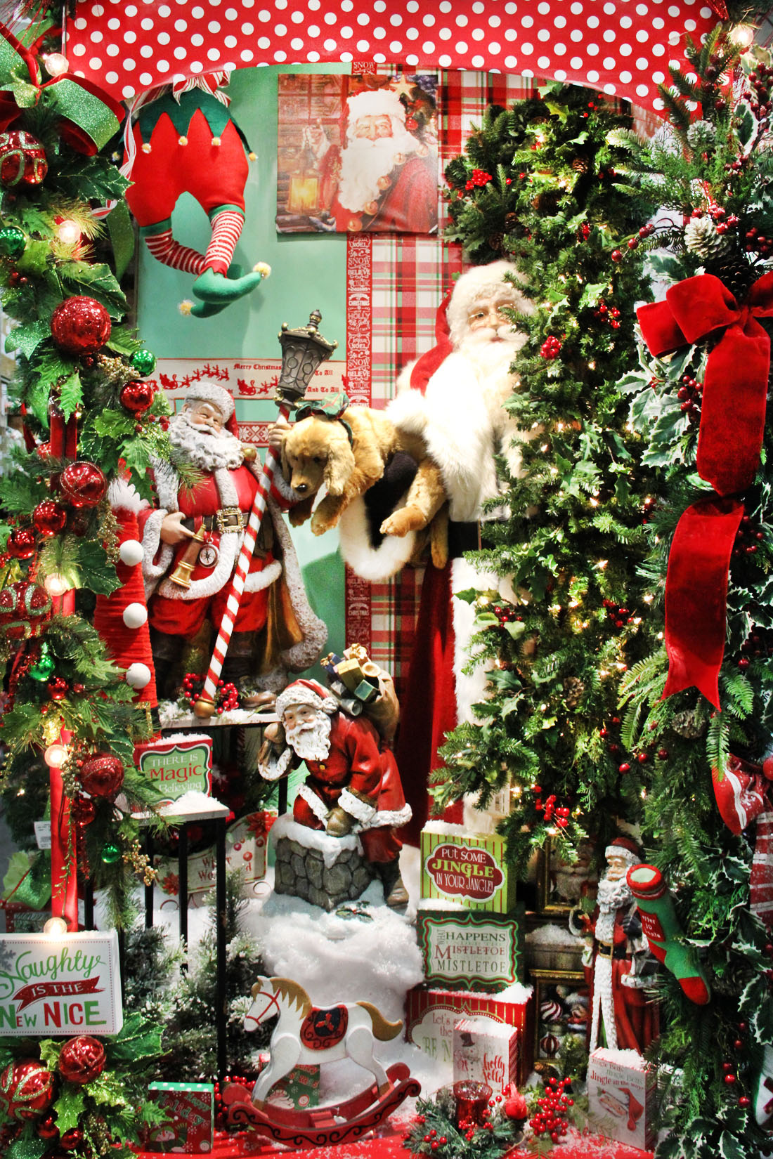 IMG_6001 Picture Of The Day 1100 110619