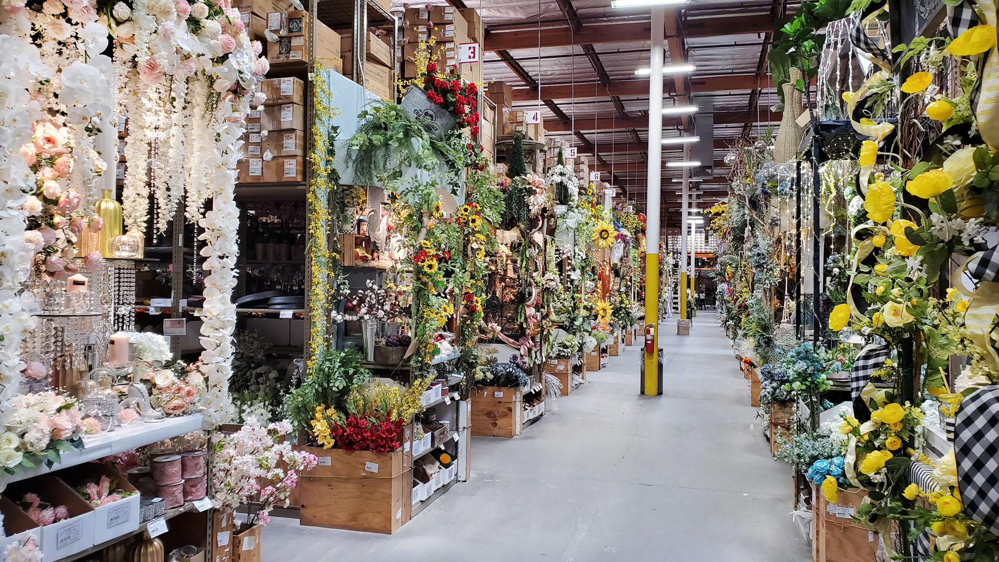 20200307_134636 Picture Of The Day 1100 030920