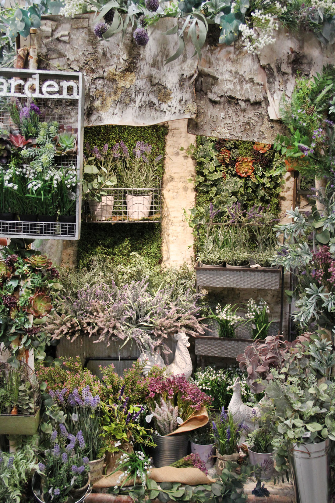 IMG_9536 Picture Of The Day 1100 061020