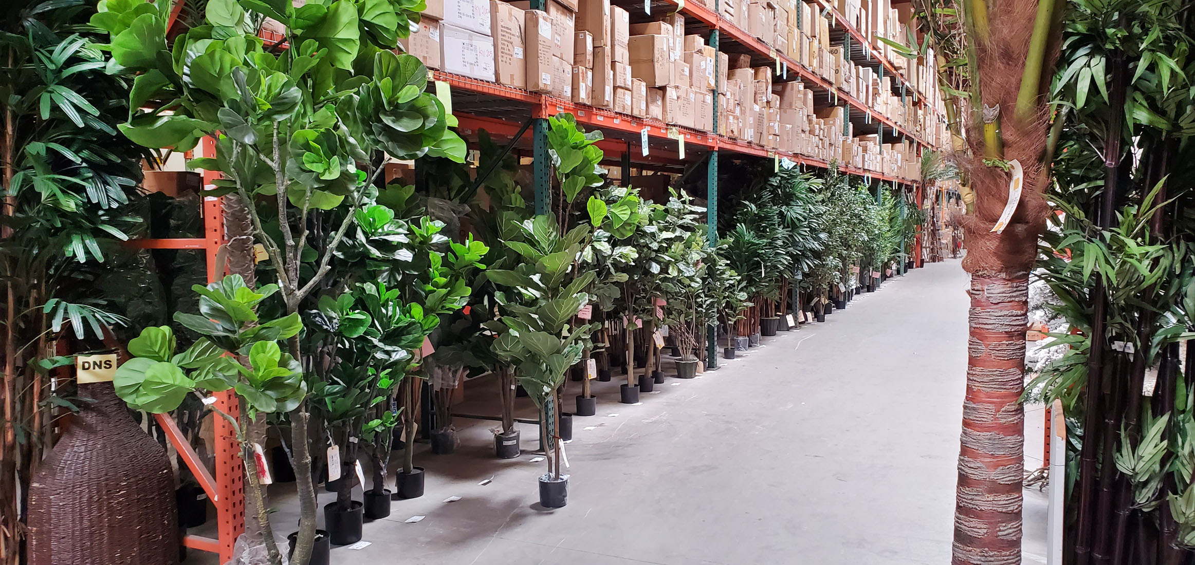 20200711_135309 Picture Of The Day 1100 041120