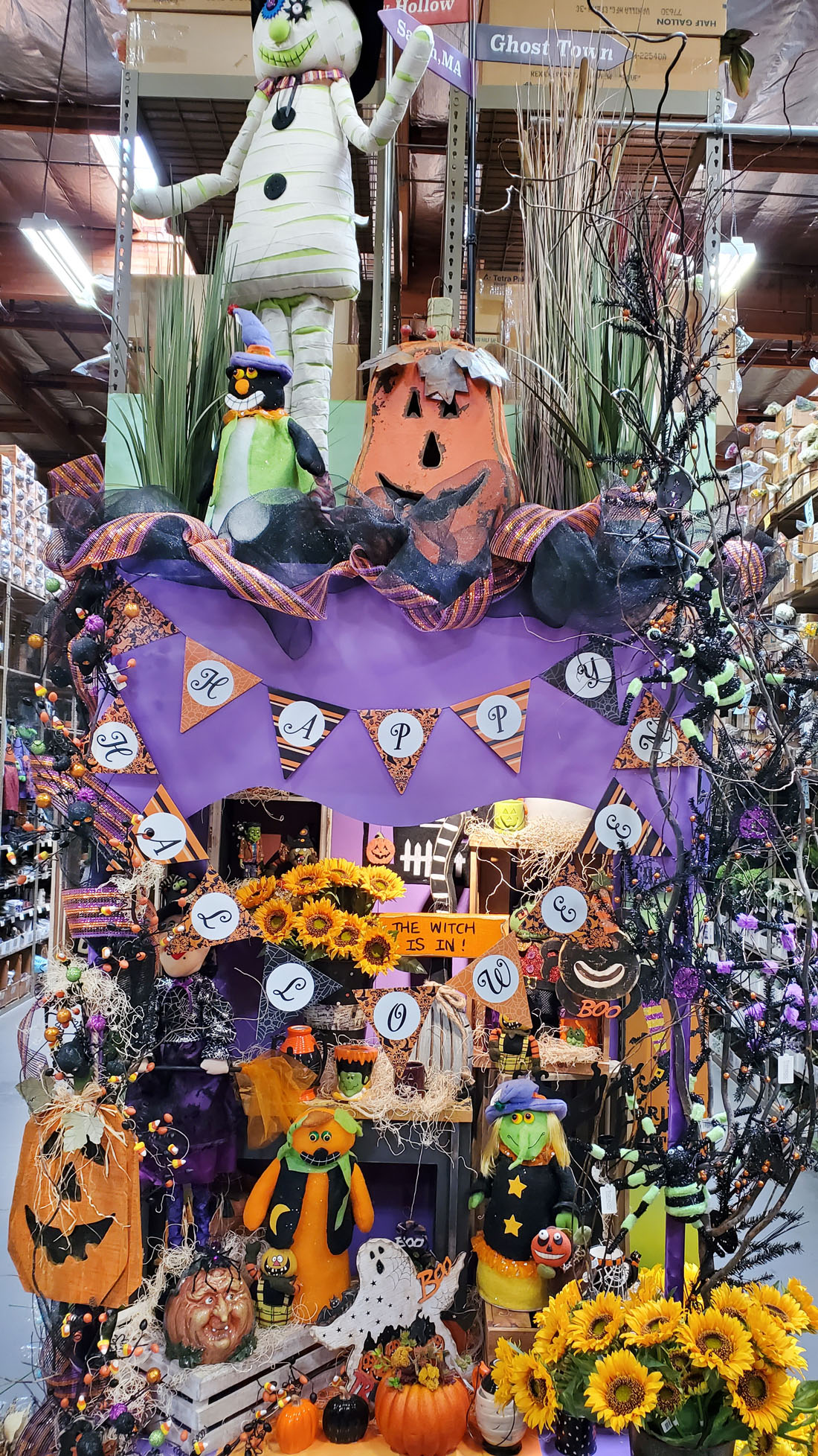 20200801_104227 Picture Of The Day 1100 080220