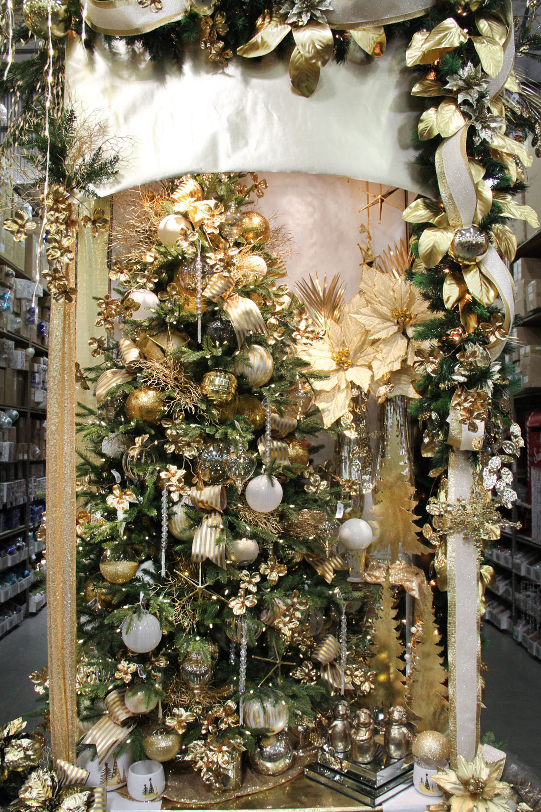 IMG_9335 Picture Of The Day 1100 101920