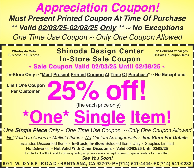 Sale_Instore_Coupon_One_Single_Item_Appreciation_Coupon_020825