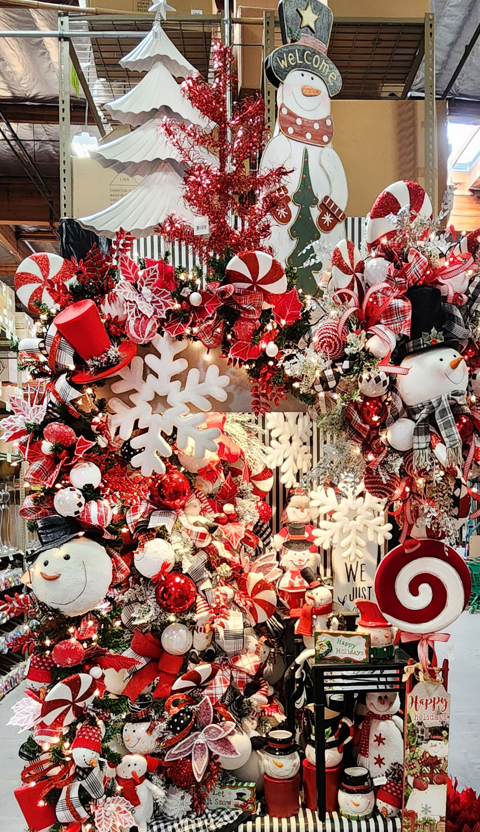 20250726_131501 Picture Of The Day 1100 072825