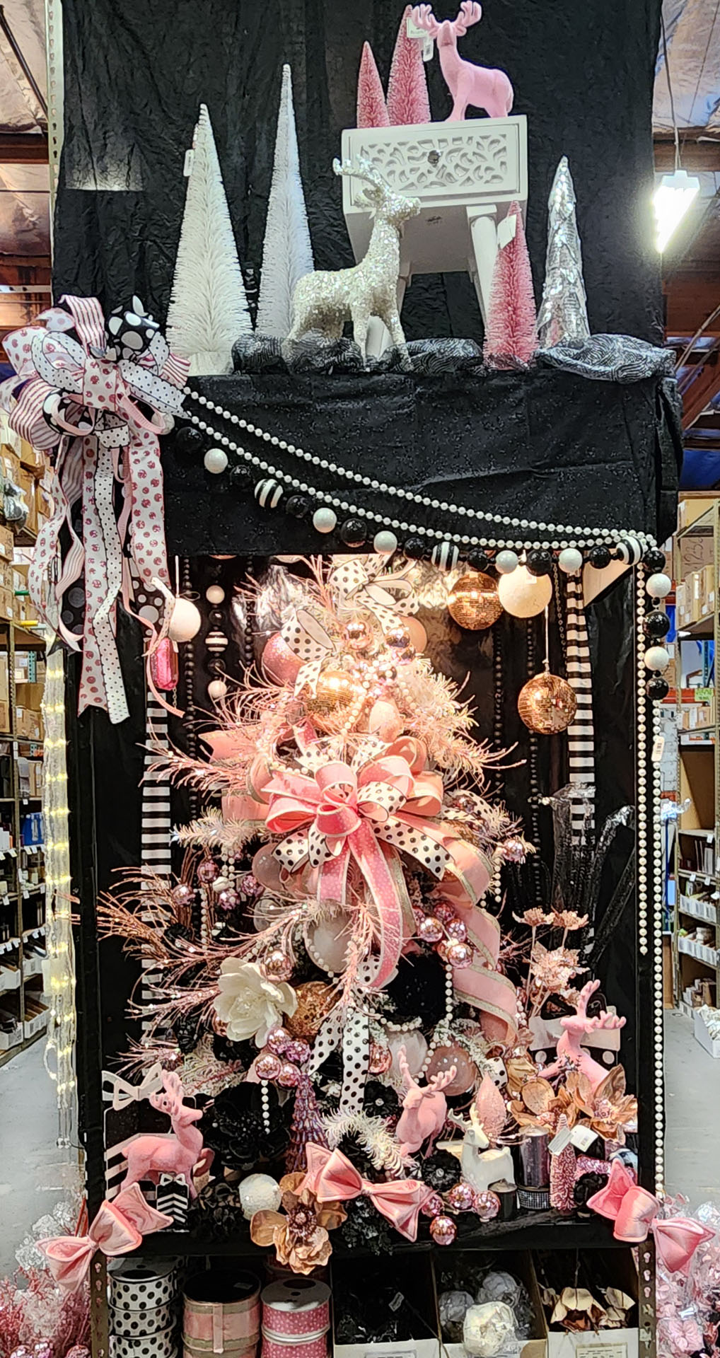 20250820_150016 Picture Of The Day 1100 083025