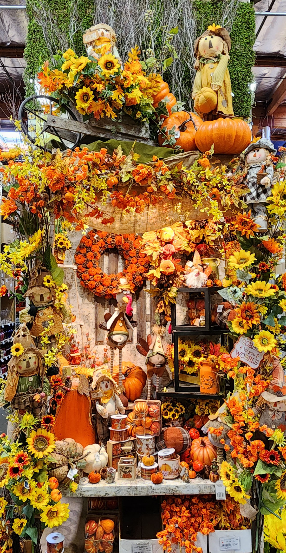 20250906_153401 Picture Of The Day 1100 092125