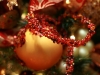 christmas-endcap-shinoda-design-center-7